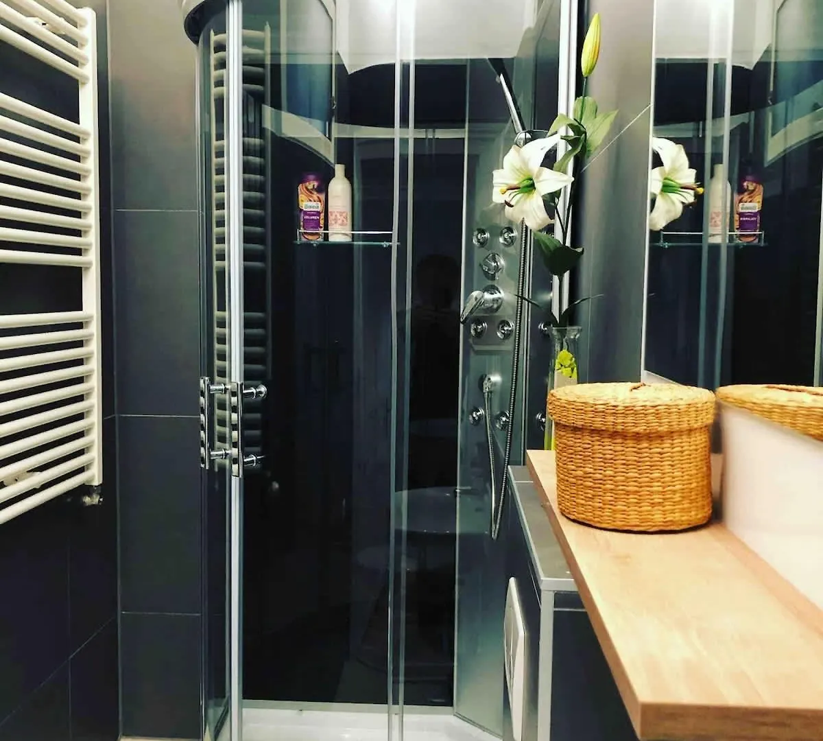 King Bed Free Parking Fast Wifi Pet Friendly Apartment Vienna